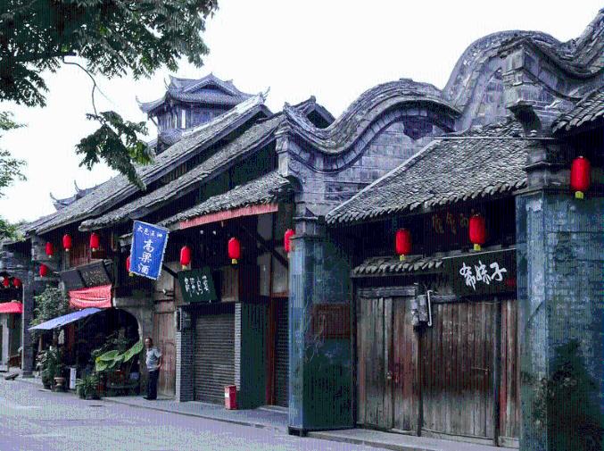 饥饿的松鼠救援